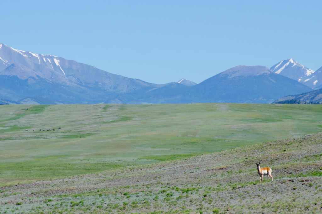 Open grasslands of the South Park Heritage Area with snowcapped peaks beyond