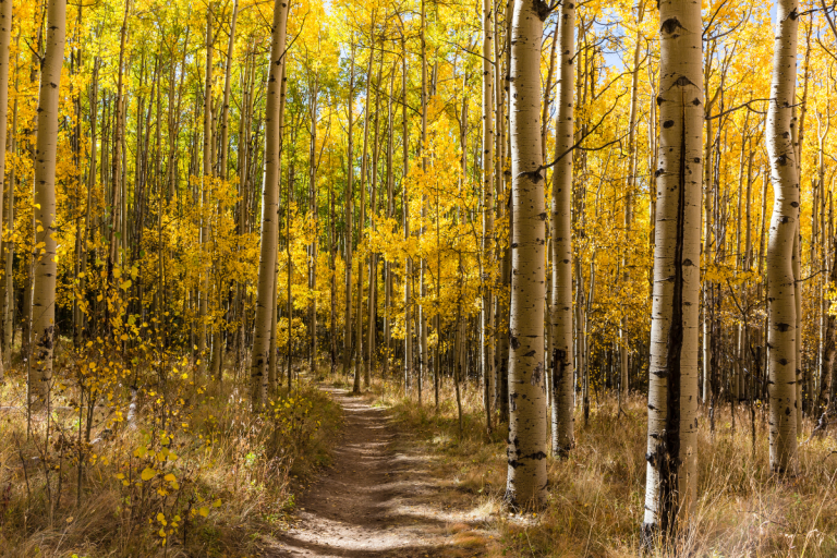Kenosha Pass 2025 Fall Colors