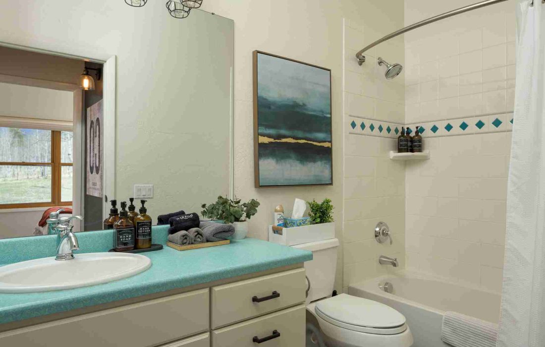 Bathroom with a turquoise vanity, a tub and shower combo, and mountain art